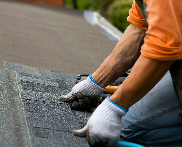 Best Storm Damage Roof Repair  in Mckees Rocks, PA